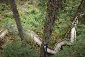 capilano-bridge-north-van