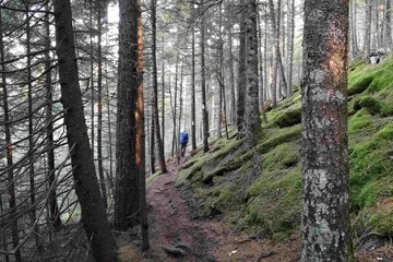 fundyfootpathnewnbcanada