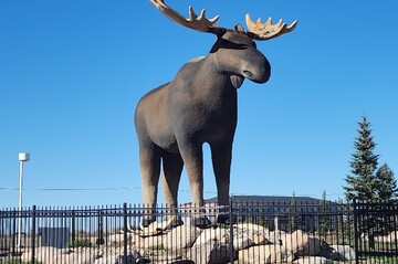 mac-the-moose-moose-jaw-saskatchewan