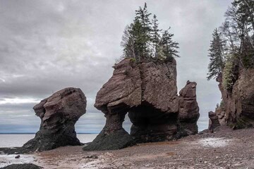 hopwell-rocks-provincial-park
