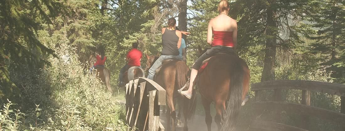 Horseback riding in the Yukon Territories