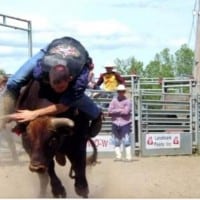 Stavely Pro Rodeo