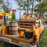 Butterfield Acres Harvest Pumpkin Fest - 23.10.2021