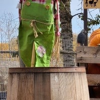 Charlottetown Scarecrow Festival - 23.10.2021