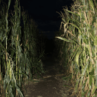 Moonlight Maze at Lester's Farm Market - 15.10.2021