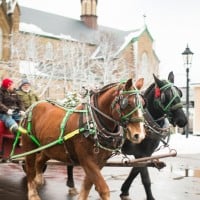 Charlottetown Christmas Festival - 08.12.2021
