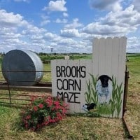 Brooks Corn Maze 2022 - 16.10.2022