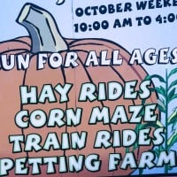 Galey's Corn Maze, Market and Railway