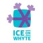 Ice on Whyte, Edmonton, Alberta - 29.01.2023