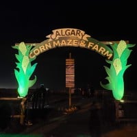 Harvest Lights at Calgary Farmyard 2023 - 22.09.2023