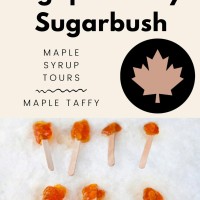 Agape Valley Sugar Bush Maple Syrup Experience 2025 - Ridgeville Ontario Canada