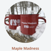 Maple Madness at Little Cataraqui Creek Conservation Area