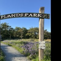 Friends of Uplands Park - Camas Day 2026 Victoria BC