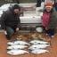 Pursuit Sport Fishing Charters