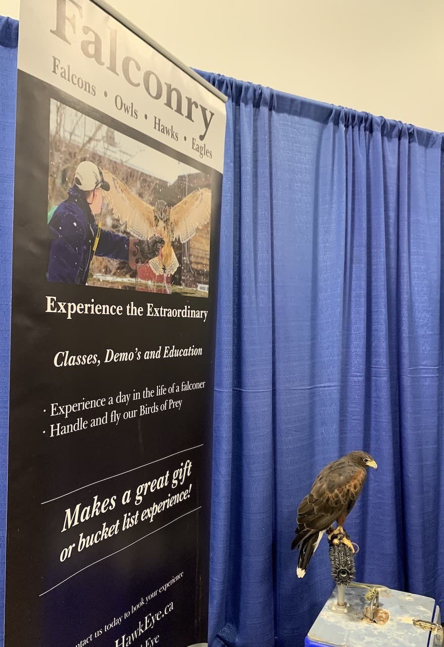 Falconry Booth at Outdoor Adventure Show Toronto Ontario Canada - You never know what types of interesting things you will come across at the Outdoor Adventure Show in Toronto, Ontario. This falconry booth had a few feathery friends on display.