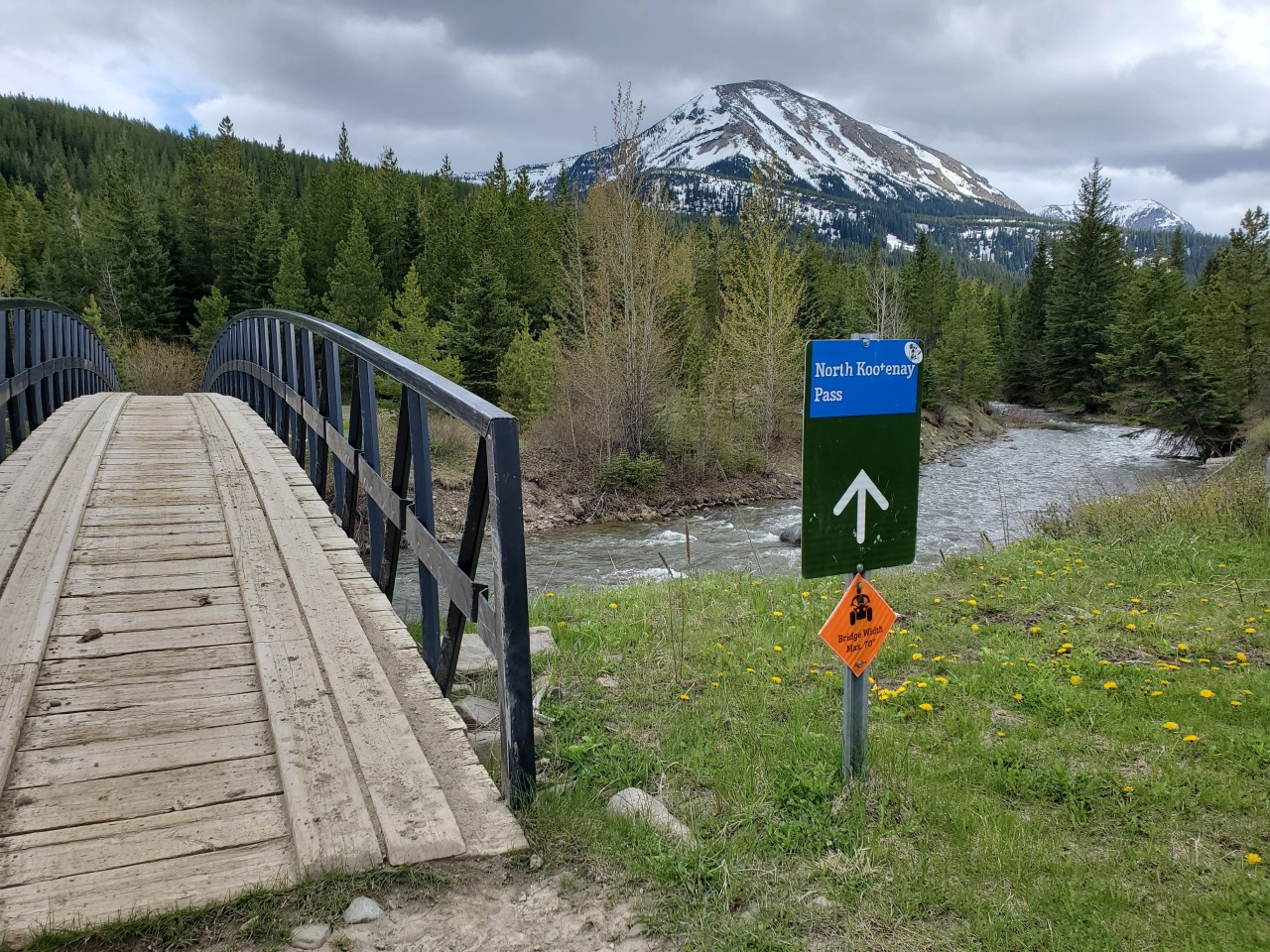 Start of the North Kootenay Pass Trail  - Right off the bat you start the North Kootenay Pass trail with a bridge crossing and mountain views.