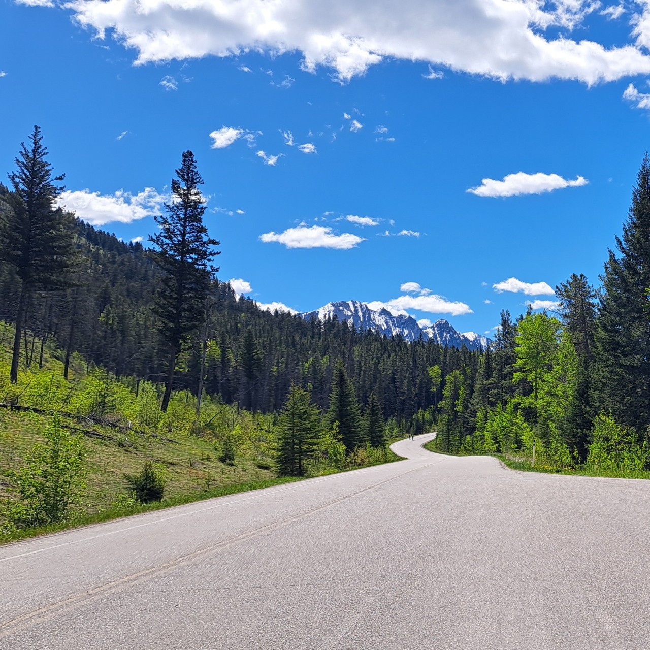 Cycling in Banff National Park Canada - Next to being in the Canadian Rocky Mountains, the best part of riding the Bow Valley Parkway is the wide-open roads. Could there be a better sight for a road cyclist?