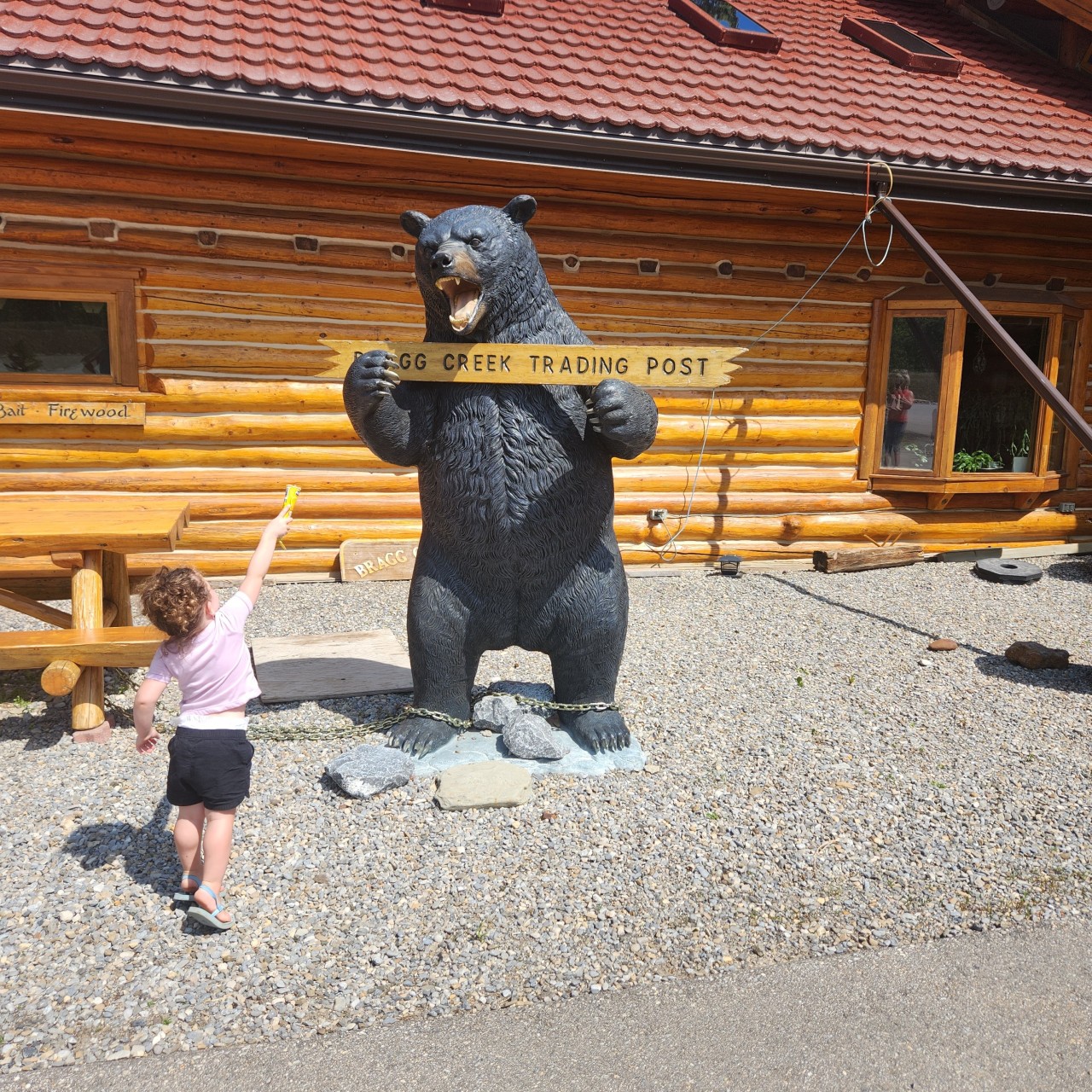 Would You Like Some Ice-cream? - Such a generous little human. Even offering the bear some of her treat