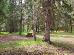 Campsites at the Wildhorse Recreation Area 