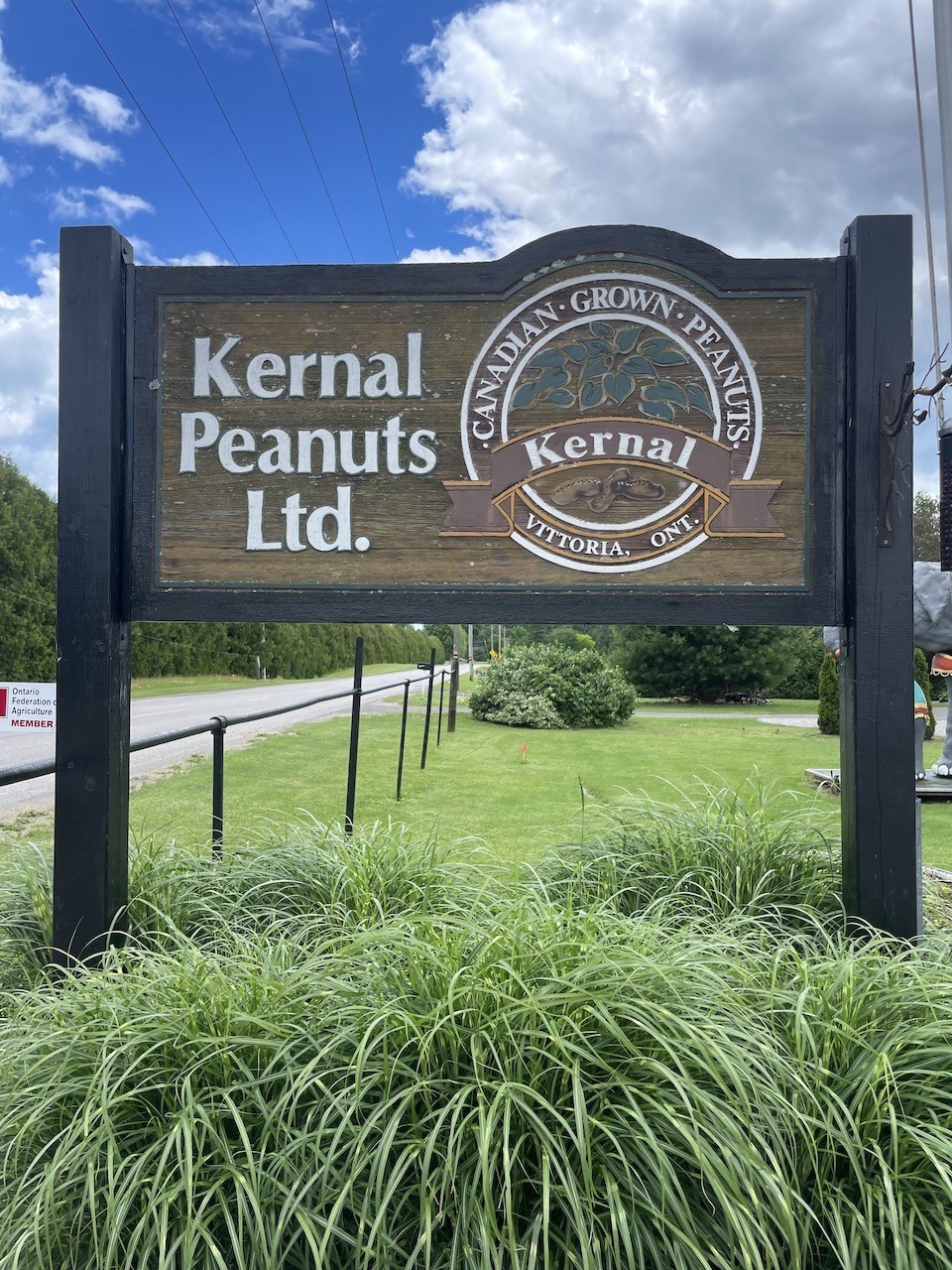 Kernal Peanuts Ltd Sign in Vittoria Ontario - The Kernal Peanuts Sign makes it easy for guests to know where to find the store in Vittoria, Ontario, Canada.