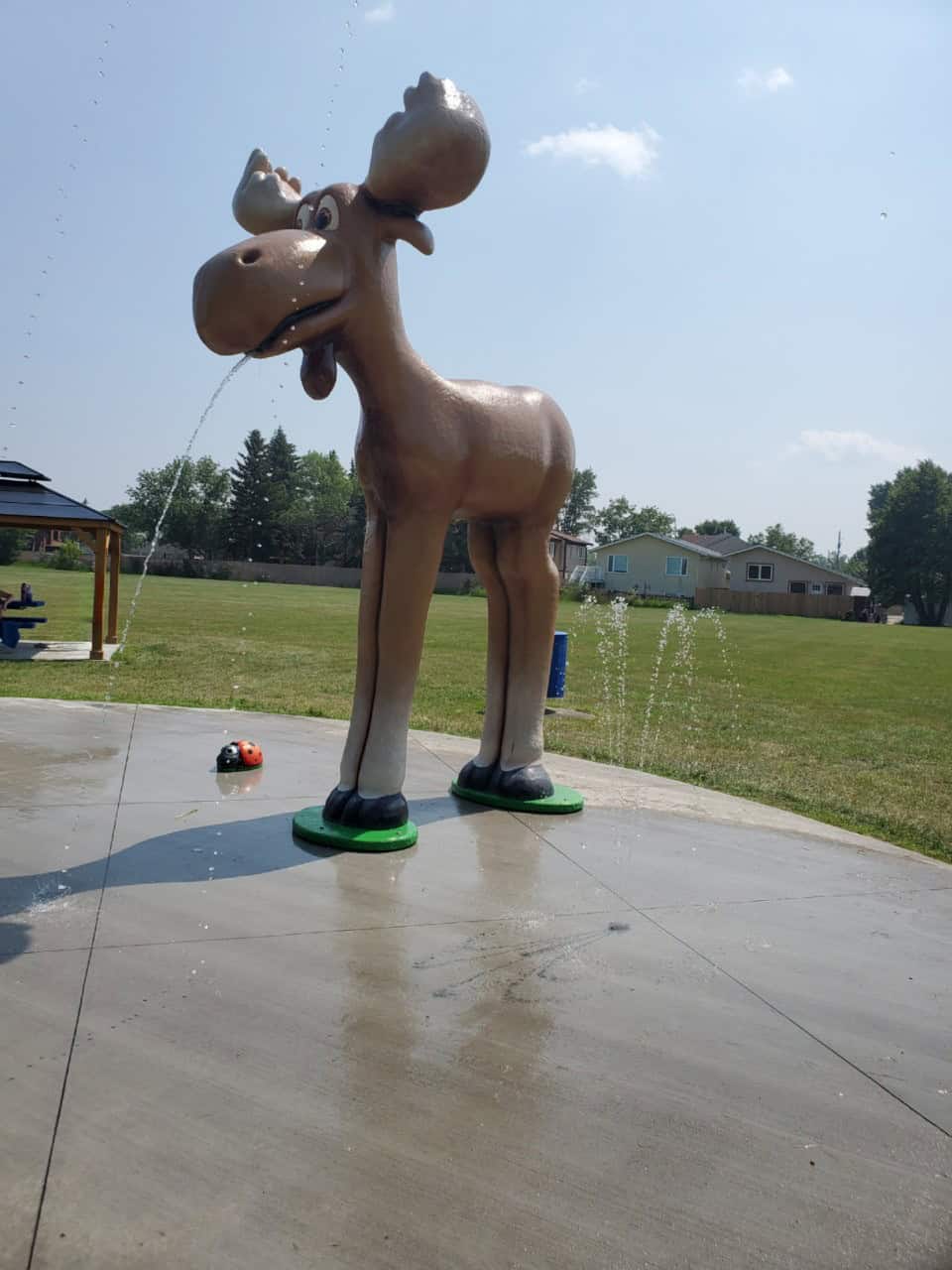 Mini Mac the Moose Spray Park  - What a perfect feature for a Moose Jaw kids park! A large, yet mini compared to Mac who welcomes visitors to Moose Jaw along Hwy 1. Mac is the world's largest Moose! So this is a cute mini Mac