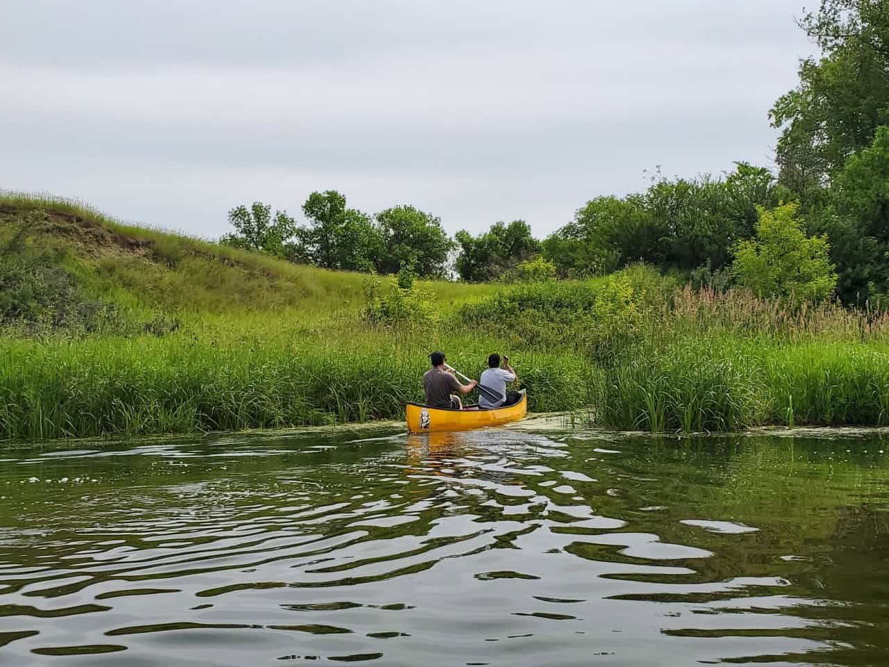 Oh Look, A Short Cut! - Th eh co-bros found what looked like a little short cut. Luckily it was not a dead end and they found some baby ducklings while heading through the little channel