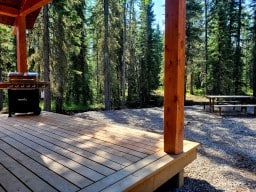 BBQ & Picnic Table at The Lynx Cabin - Bearberry Cabins - Sundre Alberta Canada