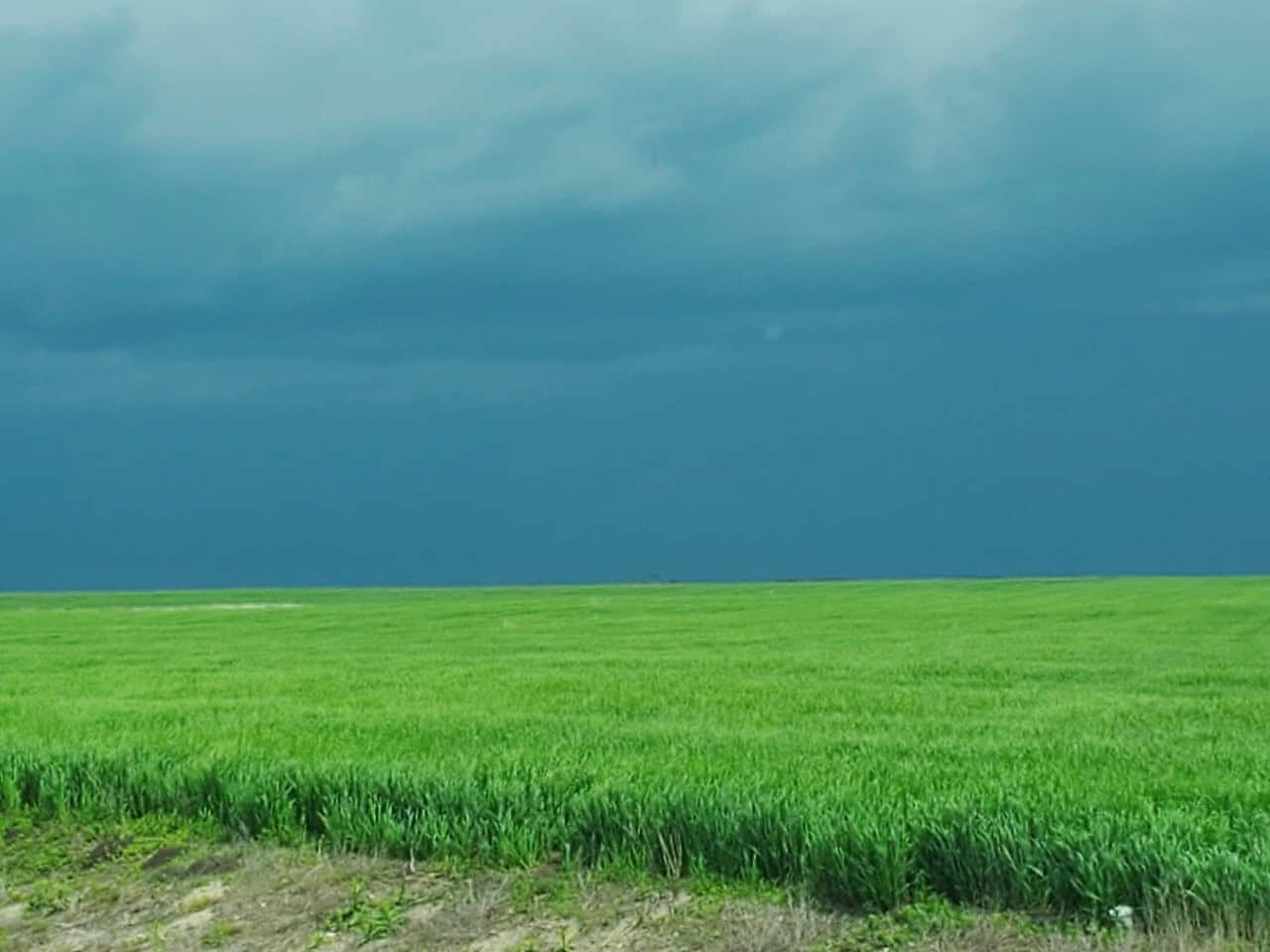 Waiting for the storm near Fort Qu'Appelle Saskatchewan 2024-09-17 - The contrast between the green fields and the dark blue sky made for interesting photos.