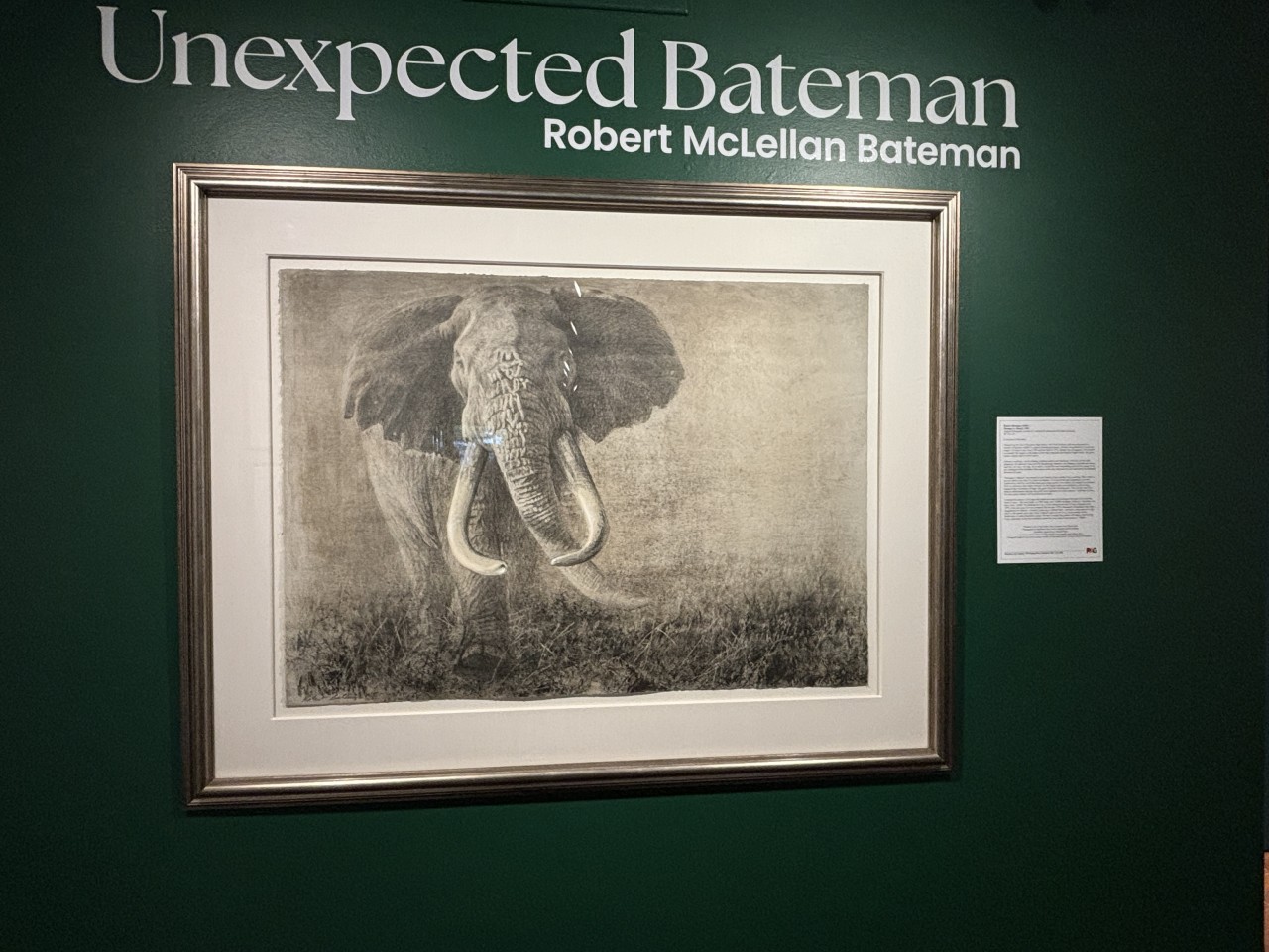 Robert Bateman Exhibit is outstanding at Penticton Art Gallery 2024-09-24 - Robert Bateman's wildlife paintings are really something to marvel at. The exhibit was certainly worth going to. I'm glad I didn't miss it. 