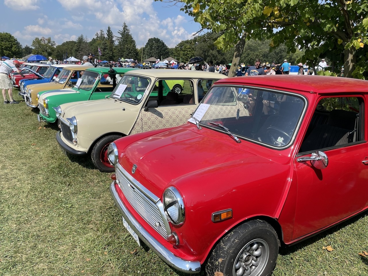 British Car Day Bronte Creek Provincial Park Oakville Ontario Canada - I loved the variety in colours of cars at the British Car Show in Oakville, Ontario, Canada. Each vehicle had its own unique colour. 