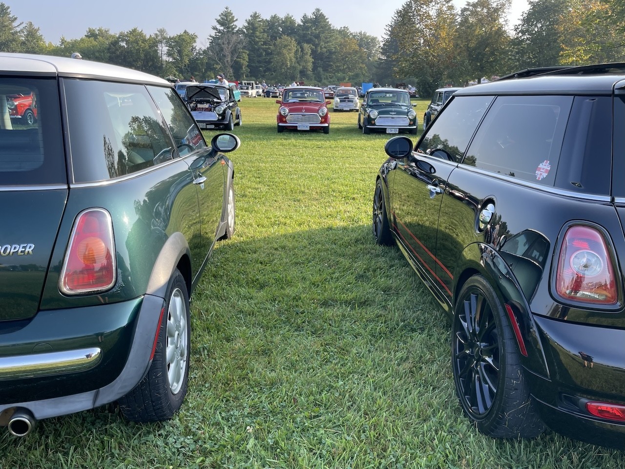 British Car Day Old and New MINIS at Bronte Provincial Park  - The new MINIS were lined up right across from the classic MINIS at British Car Day at Bronte Provincial Park in Ontario, Canada.