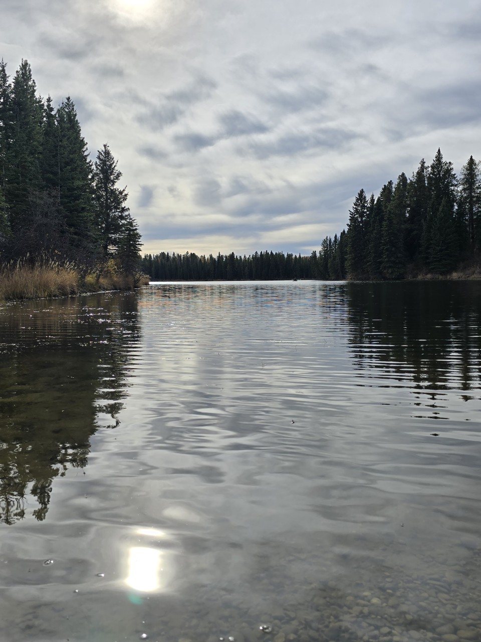 Beaver Lake near Sundre Alberta Canada  - Pretty views from one of the small bays at Beaver Lake in Alberta Canada 