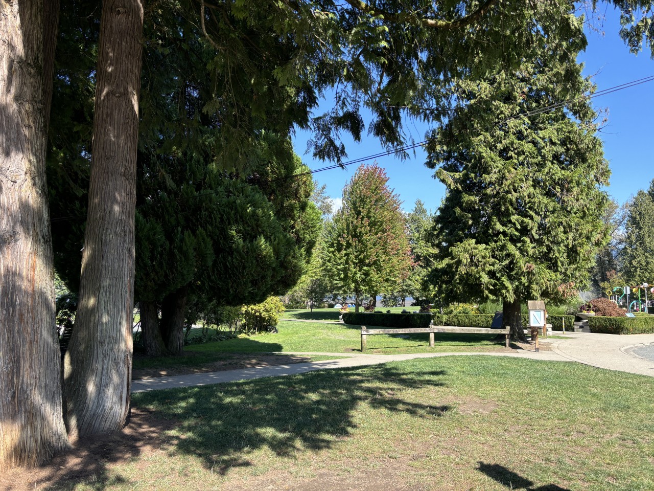 Arriving at Rocky Point Park in Port Moody British Columbia 2024-10-21 - Tall trees, shrubs, flowers, walkways, then Burrard Inlet and the mountains. It's a lovely place to spend the day. 