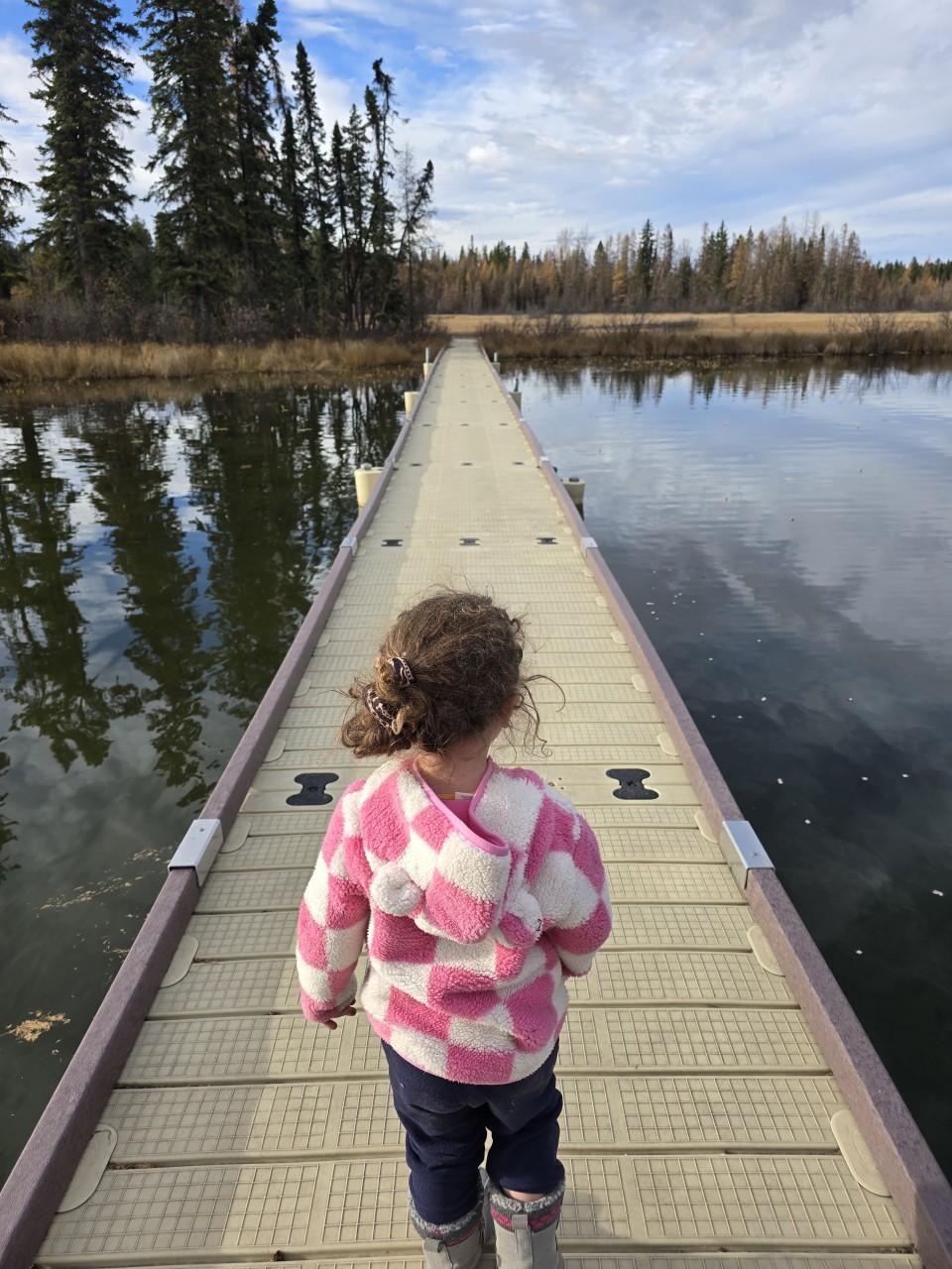 Little Seeker Exploring Twin Lakes in Alberta  - Little seeker is slowly developing a fear of water. I'm unsure where that's coming from, but she did great navigating her way across the boardwalk and docks. 