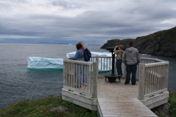 Viewing Platform Whale Watcher Trail Nfld