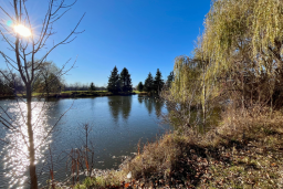 Sun in the sky over the pond at Walter Baker Park