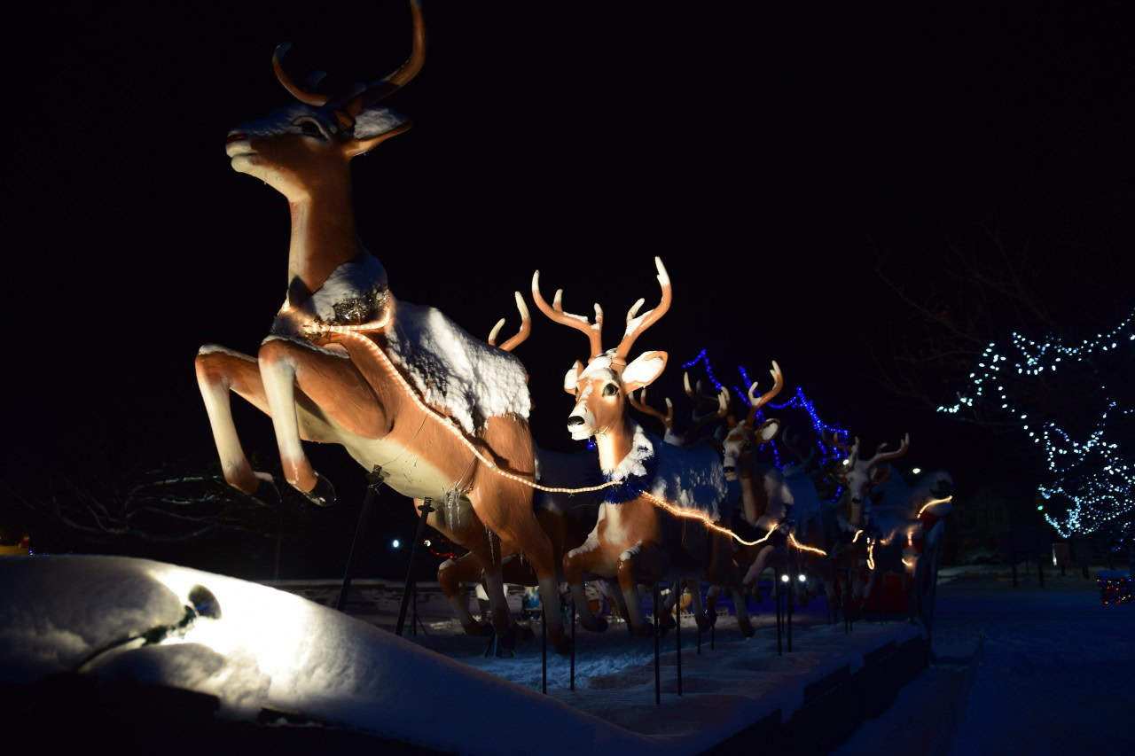 Santa's Reindeer Take Flight at the Simcoe Christmas Panorama - As excitement builds for Dec 24th, children come to see Santa and his eight reindeer at the Simcoe Christmas Panorama in Norfolk County, ON