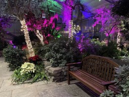 Royal Botanical Gardens Beautiful Greenhouse Seating