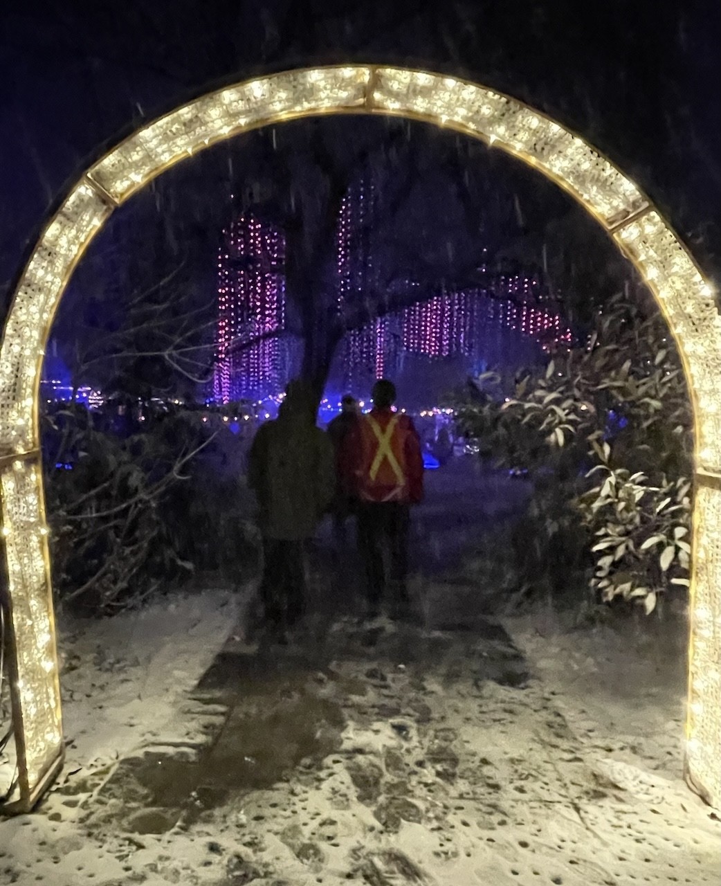 Winter Wonders Walkway Arch Royal Botanical Gardens Burlington Ontario  - This walkway arch led visitors to the Singing Tree display at the Royal Botanical Gardens in Burlington, Ontario, Canada.