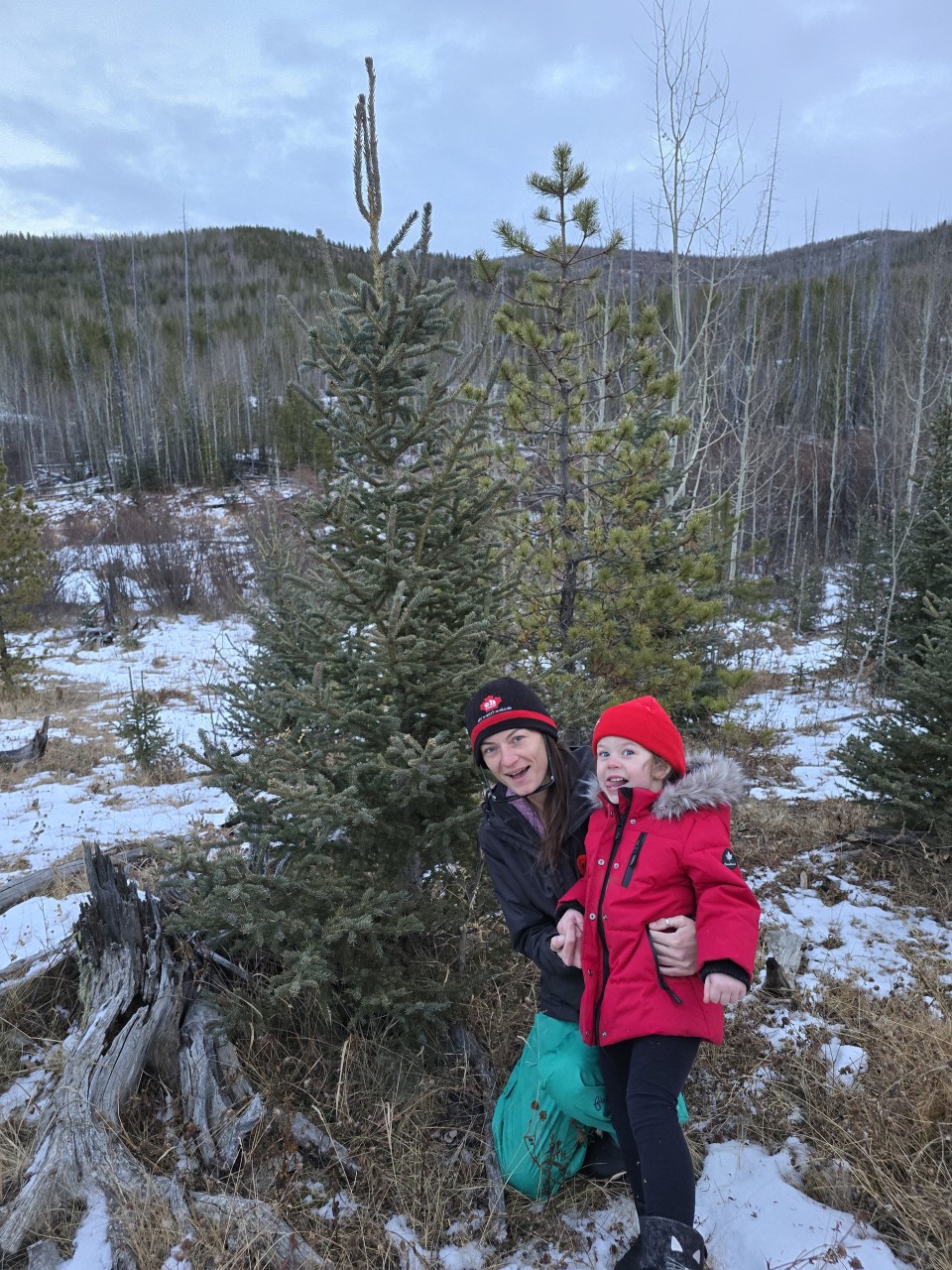 Picking a Clearwater County Christmas Tree - Usually I head into the Kananaskis or Ghost areas in Southern Alberta for our Christmas Tree adventures. This year we picked somewhere new and headed west of Sundre into the back country of the Clearwater County. 