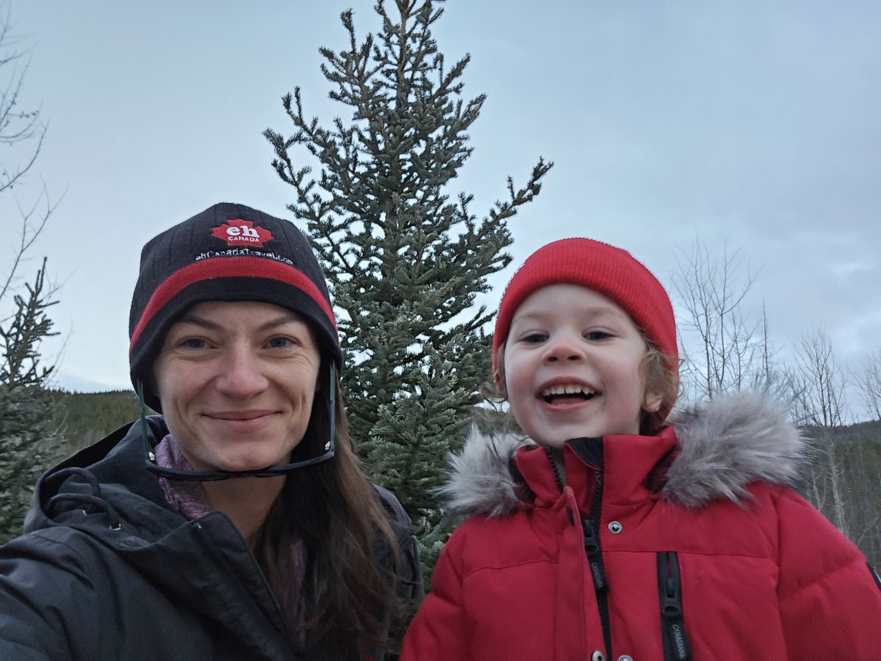 Christmas Tree Hunting Tradition  - A real tree is a must for me. I love that Alberta makes it so easy for families to pick their own trees out in the wilderness. Christmas tree farms are awesome as well!