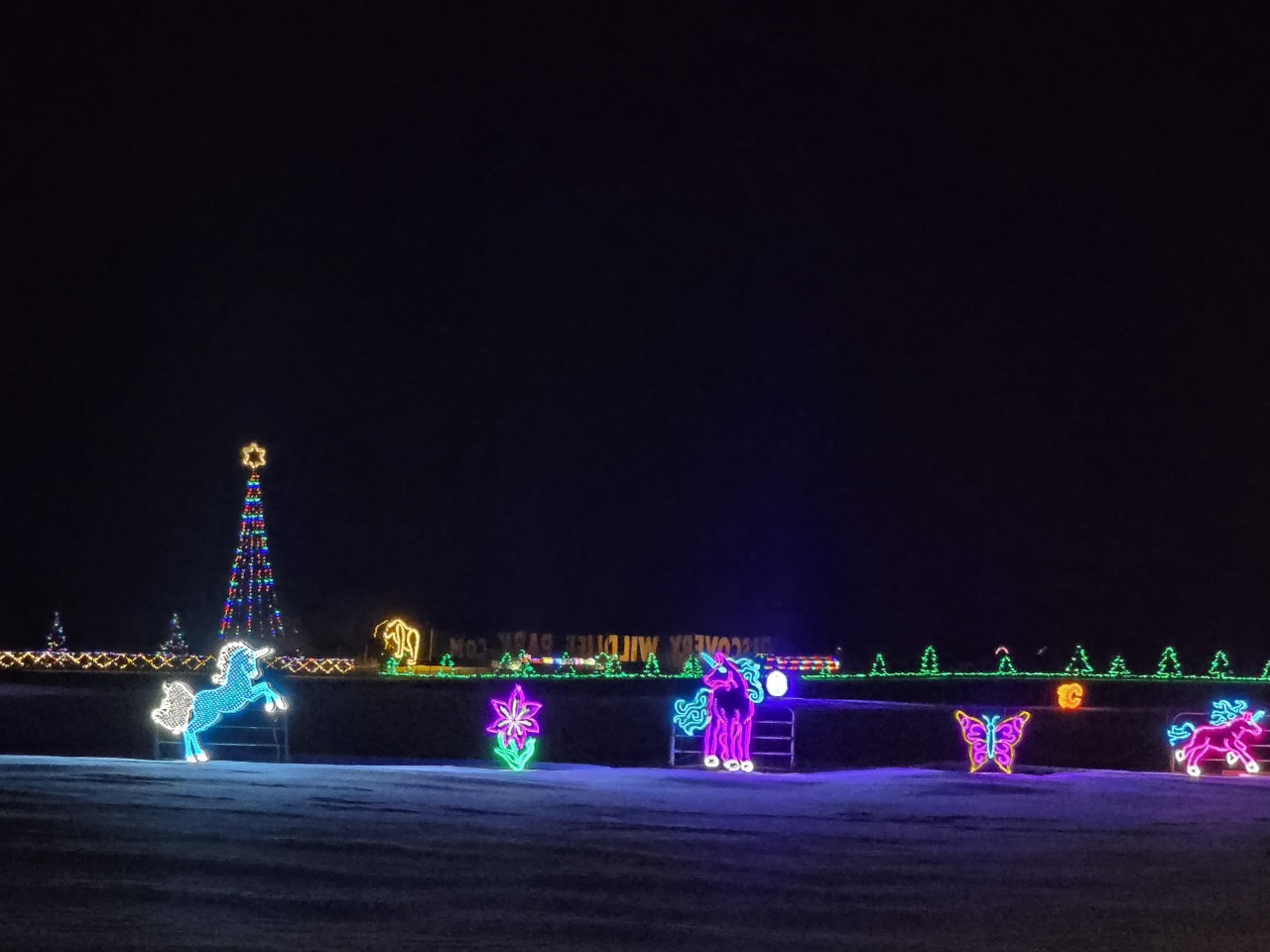 Christmas Lights Unicorn Magic - A very rare sight to see. Unicorns light the night at Discovery Wildlife Park in central Alberta Canada 