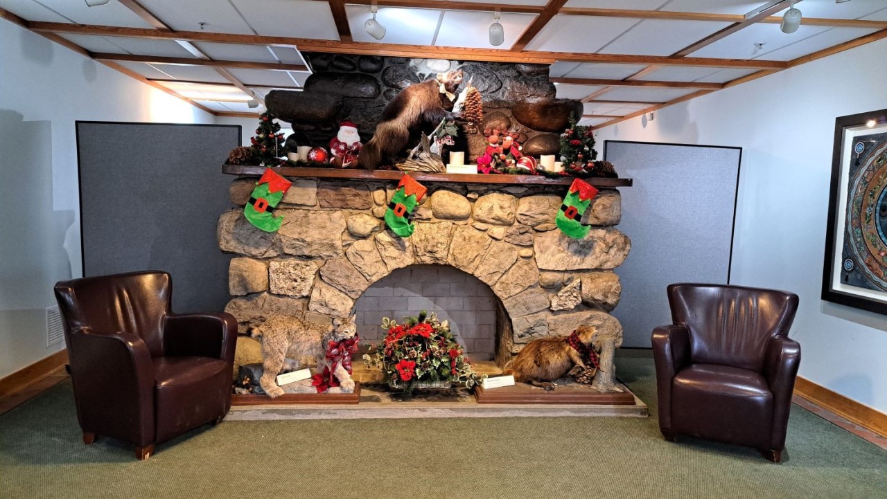 Inside Jasper Park Information Centre National Historic Site - I love this grand stone fireplace that greets visitors as they enter the building. The building is home ot the visitor information centre and the Friends of Jasper National Park. I picked up a fantastic Hiking Logbook to record all my adventures in. It is going to be fun trying to fill it up.