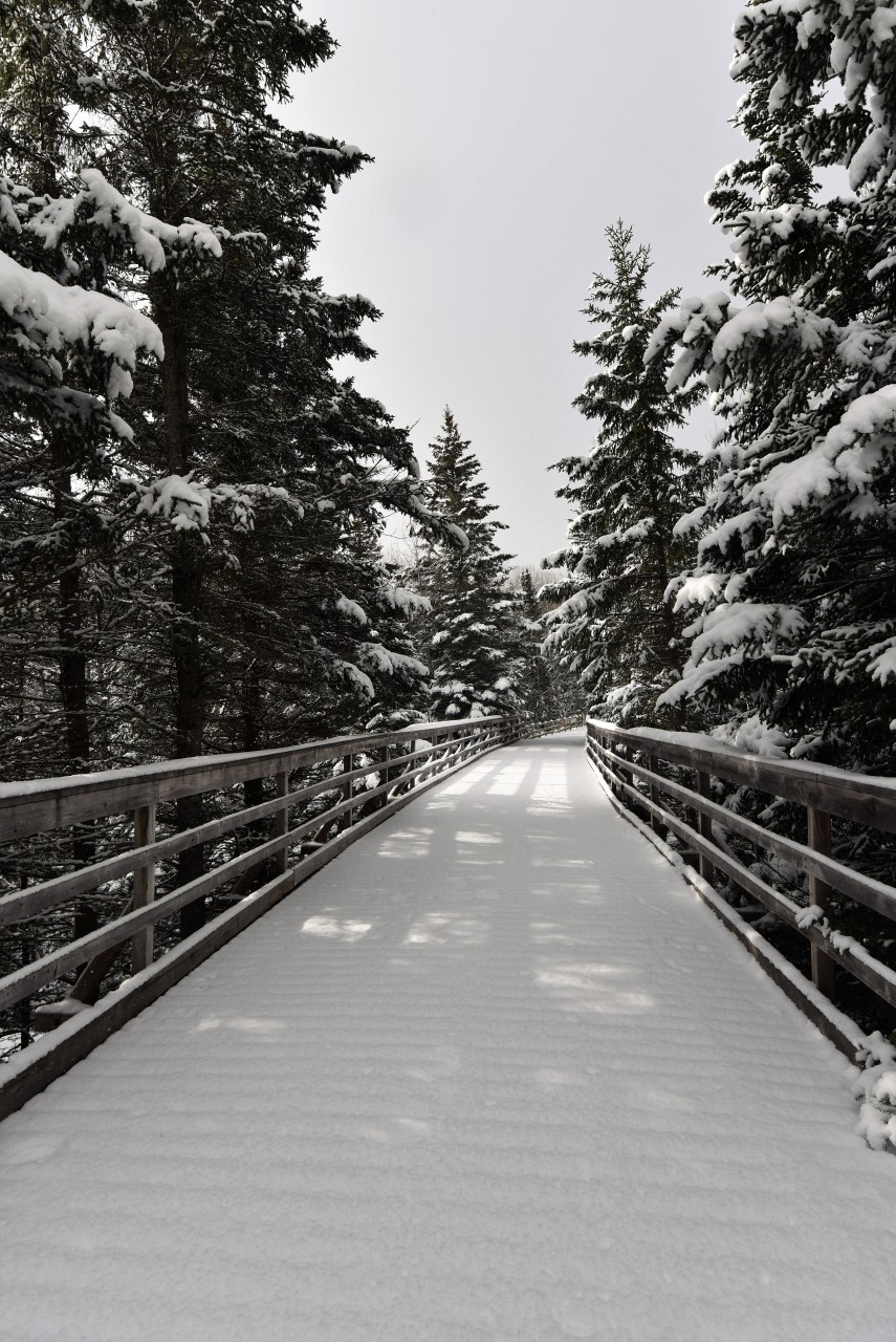 Hiking Le Petit Temis in Winter - We hiked the Petit Temis portin of the Trans Canada Trail in winter, when the snow-covered trail looked truly magical. 