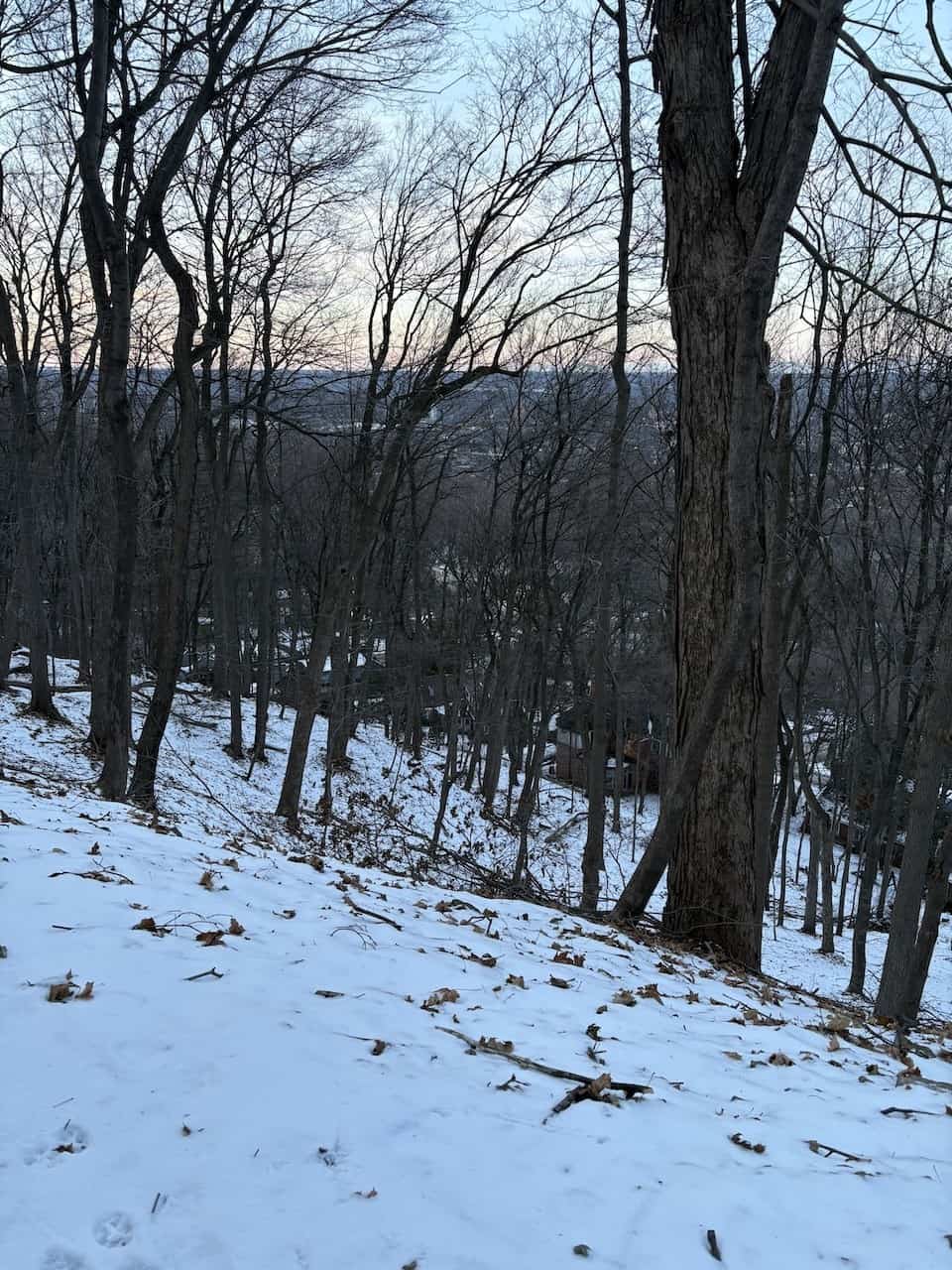 Bruce Trail Lower City Views in Hamilton Ontario - As we walked the Bruce Trail along the Niagara Escarpment, we were able to catch a glimpse of the lower city in Hamilton, Ontario, Canada.