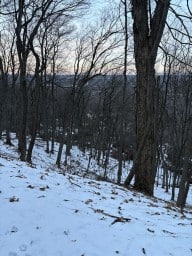 Bruce Trail Lower City Views in Hamilton Ontario