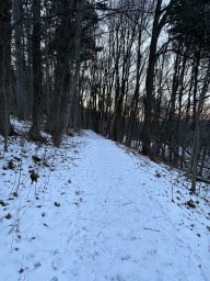 Bruce Trail Winter Walk Hamilton Ontario Canada 