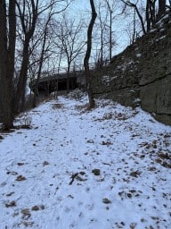 Snowy Bruce Trail Hamilton Ontario Canada