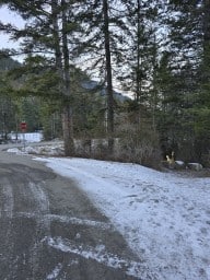 Fletcher Creek Falls Recreation Site Kaslo British Columbia Canada 2025-02-04