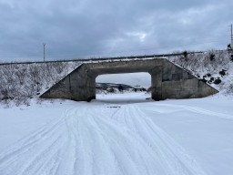 A Winter Walk on a Frozen River 2025-02-27